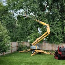 Best Lot and Land Clearing  in Sunnyside, CA