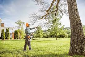 Best Tree Risk Assessment  in Sunnyside, CA